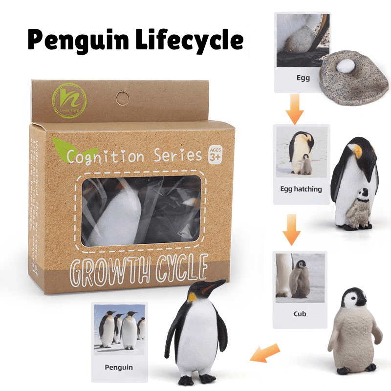 Montessori penguin life cycle showing egg, hatching, chick, and adult penguin with learning materials