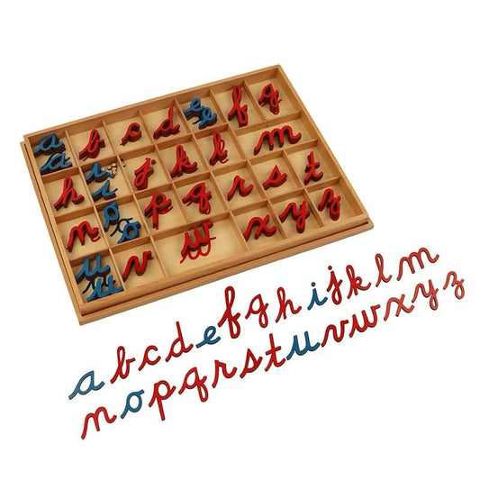 Montessori movable alphabet cursive set displayed in a wooden compartment tray with red consonants and blue vowels arranged neatly