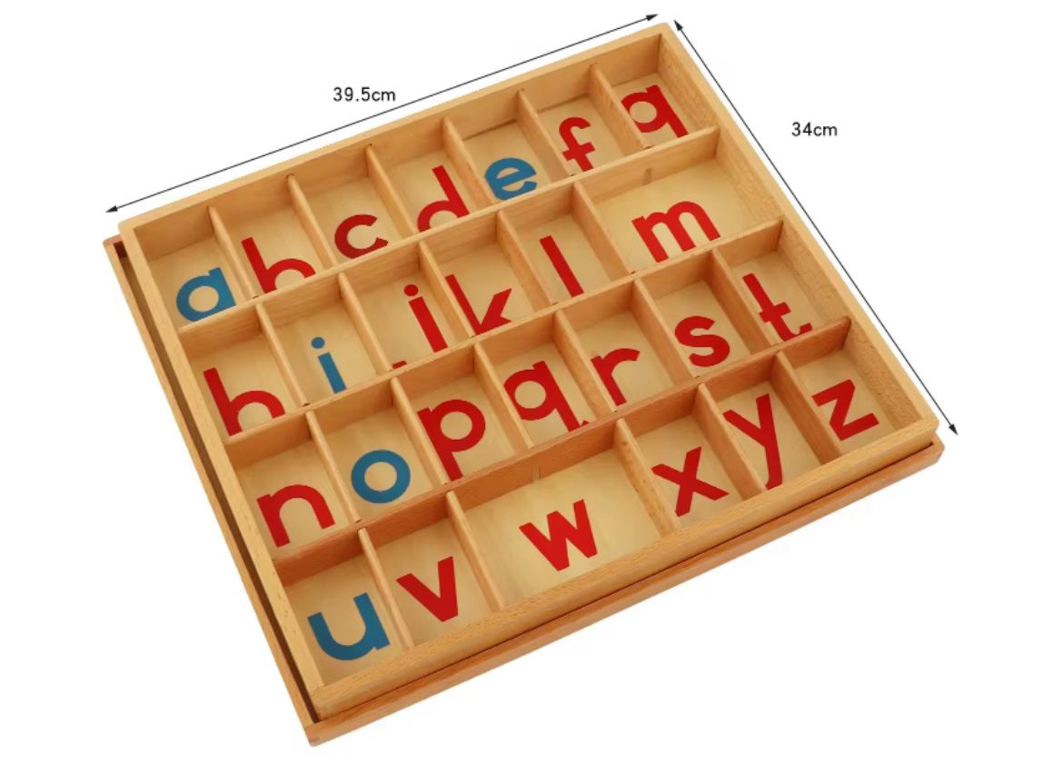 Montessori movable alphabet wooden box with measurement dimensions showing layout of red and blue letters.