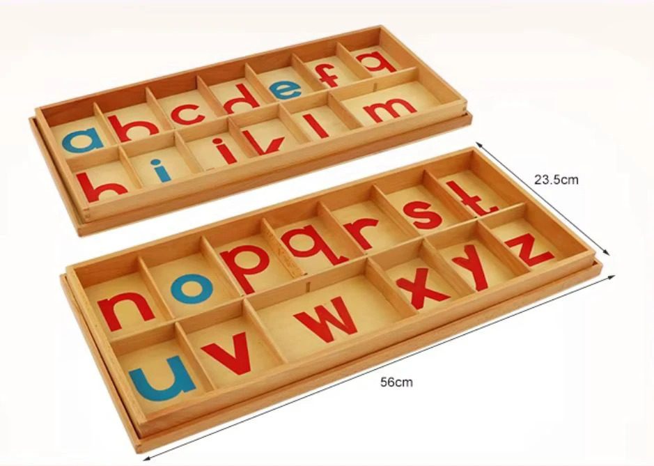 Montessori movable alphabet wooden tray with measurements showing length and compartment layout.