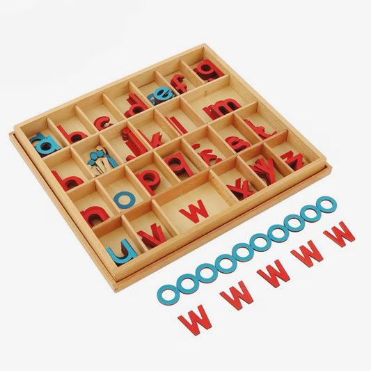 Montessori movable alphabet set in a wooden box with red consonants and blue vowels arranged in compartments.