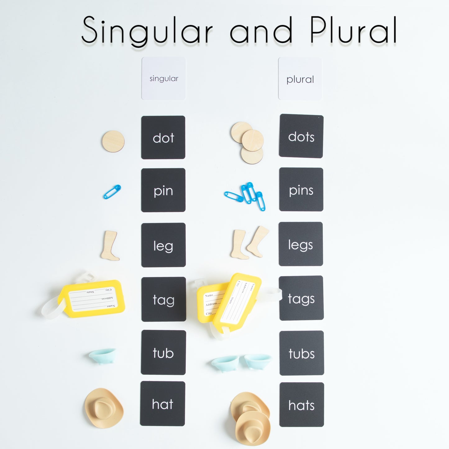 A Montessori singular and plural sorting activity featuring phonetic word cards arranged in two columns with matching miniature objects, illustrating singular and plural forms.