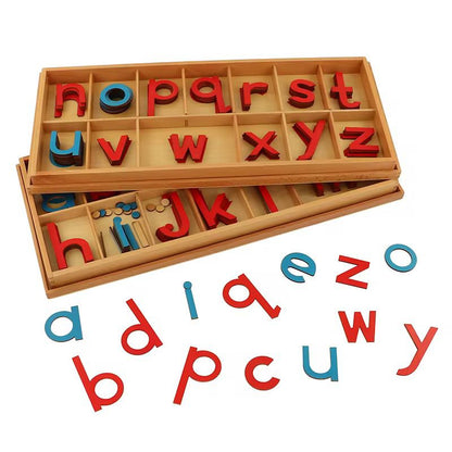 Montessori movable alphabet letters displayed outside the wooden trays for language work.