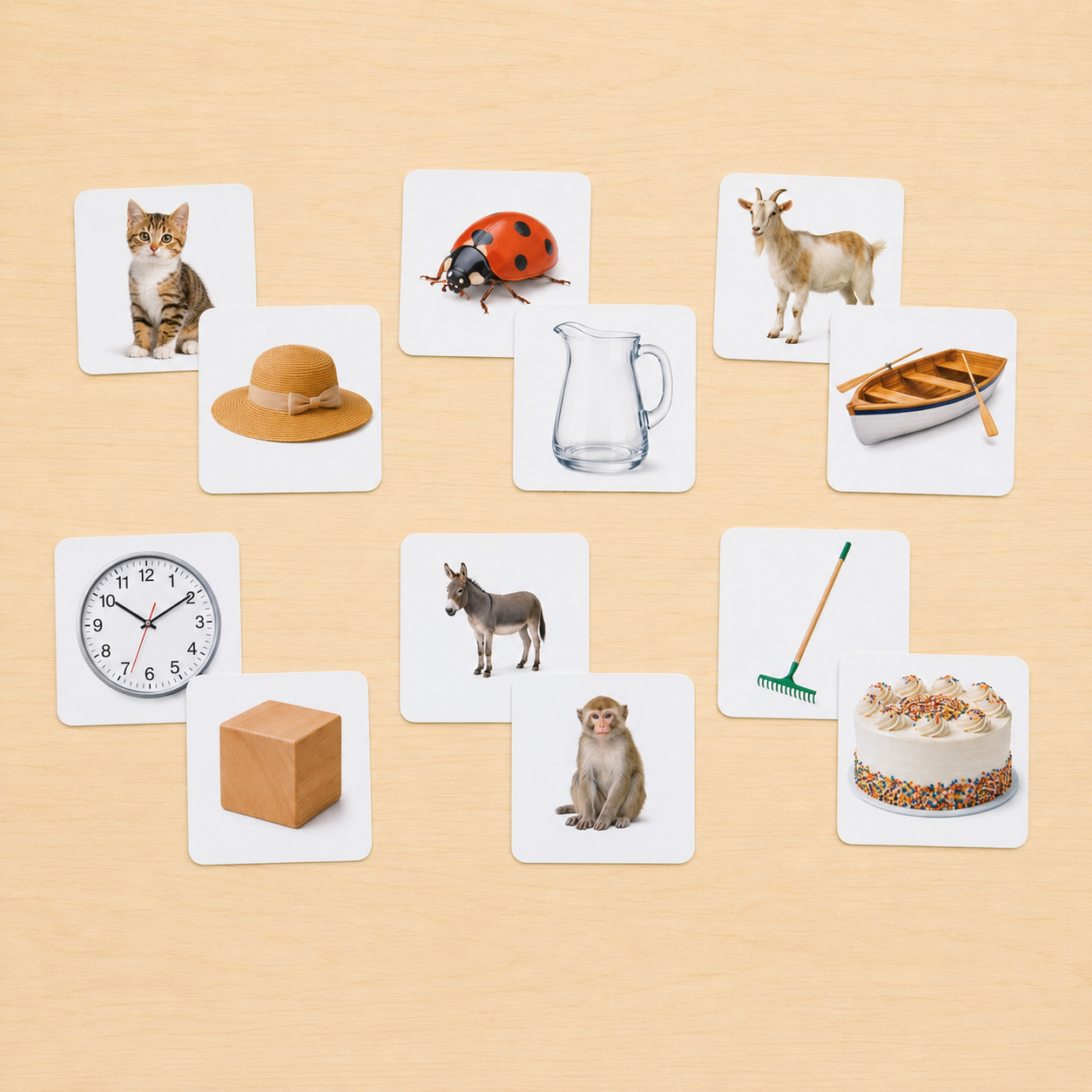 Montessori Rhyming Words cards showing cat and hat donkey and monkey and other real photo rhyming pairs