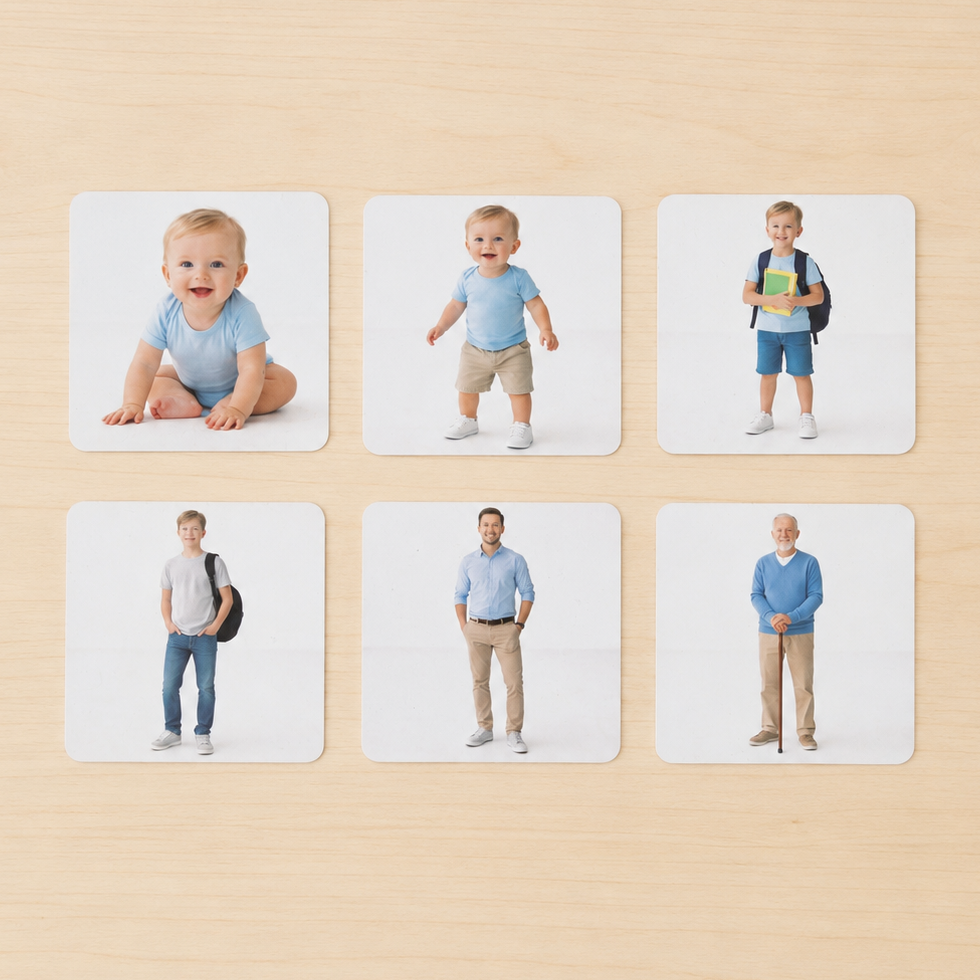 Montessori Human Life Sequence cards showing baby toddler child teenager adult and elderly stages