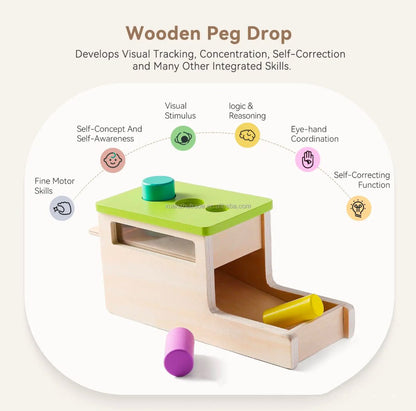 Wooden peg drop box Montessori toy for toddlers to develop fine motor and cause and effect skills