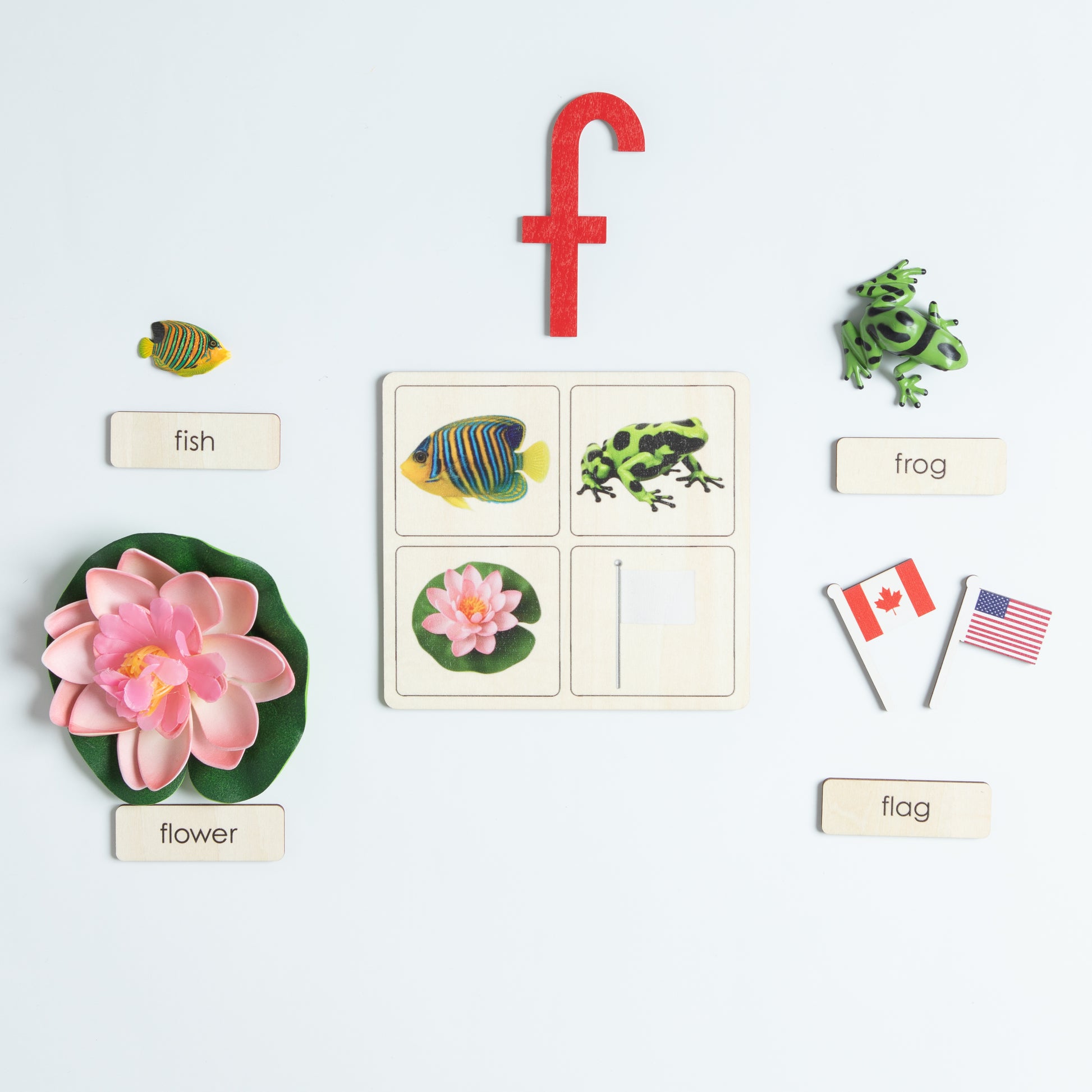 Alphabet learning board with objects for Montessori language development