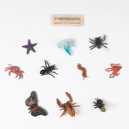 Montessori Vertebrates and Invertebrates Classification Set - Zoology Animal Sorting Material