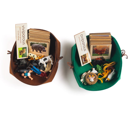 Montessori Viviparous and Oviparous Classification Set - Zoology Animal Sorting Material