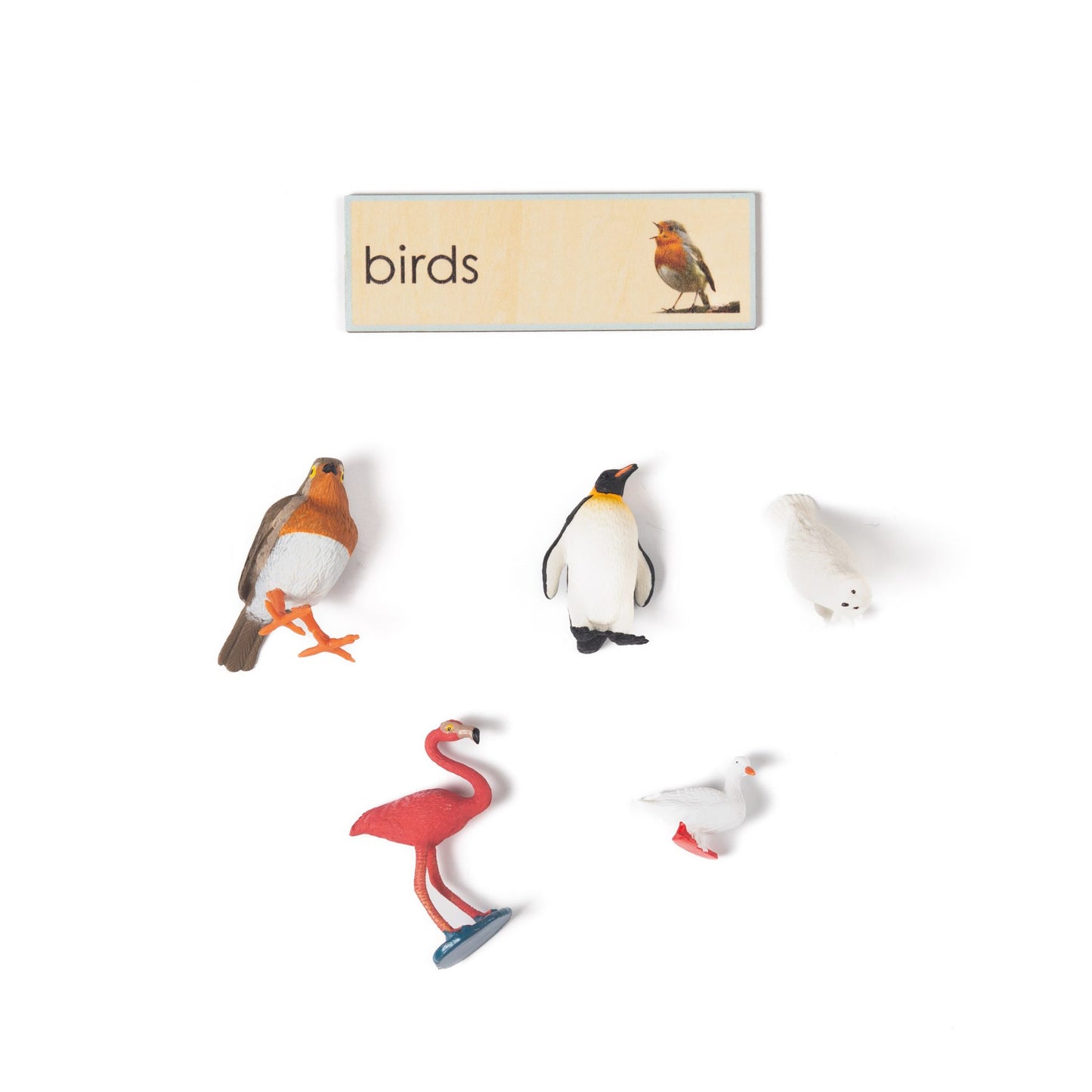 Montessori Five Classes of Vertebrates Classification Set - Zoology Animal Sorting Material