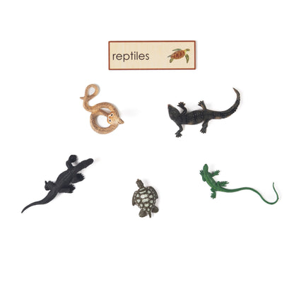 Montessori Five Classes of Vertebrates Classification Set - Zoology Animal Sorting Material