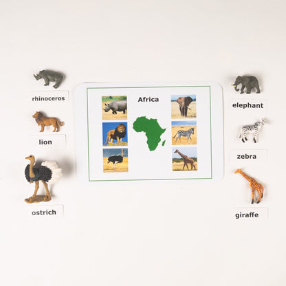 Montessori Animals of the Seven Continents - Bundle - Culture and Geography Classification
