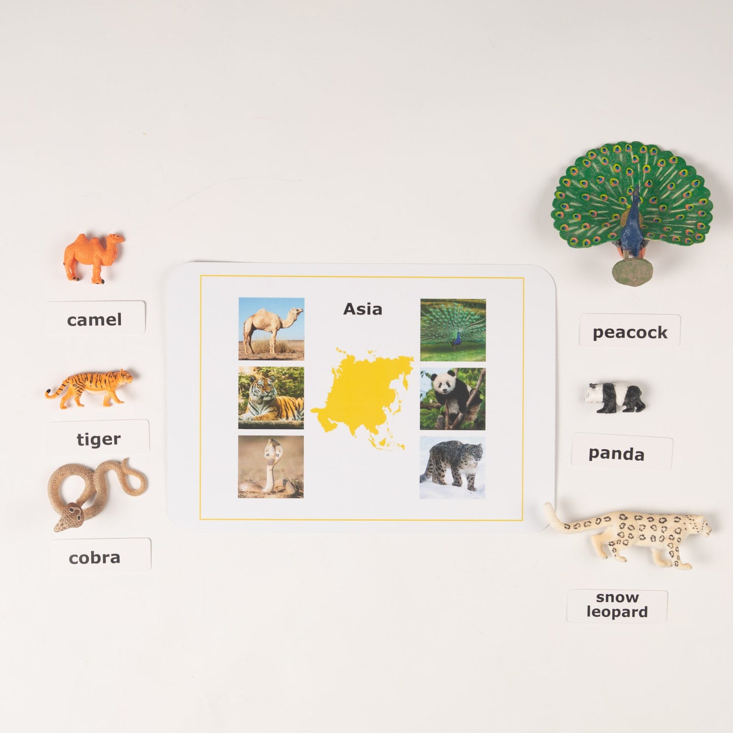 Montessori Animals of the Seven Continents - Bundle - Culture and Geography Classification