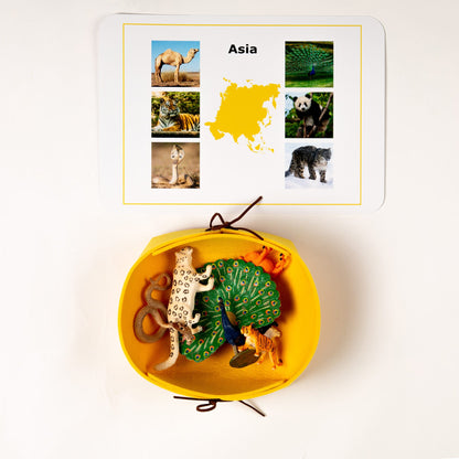 Montessori Animals of the Seven Continents - Bundle - Culture and Geography Classification