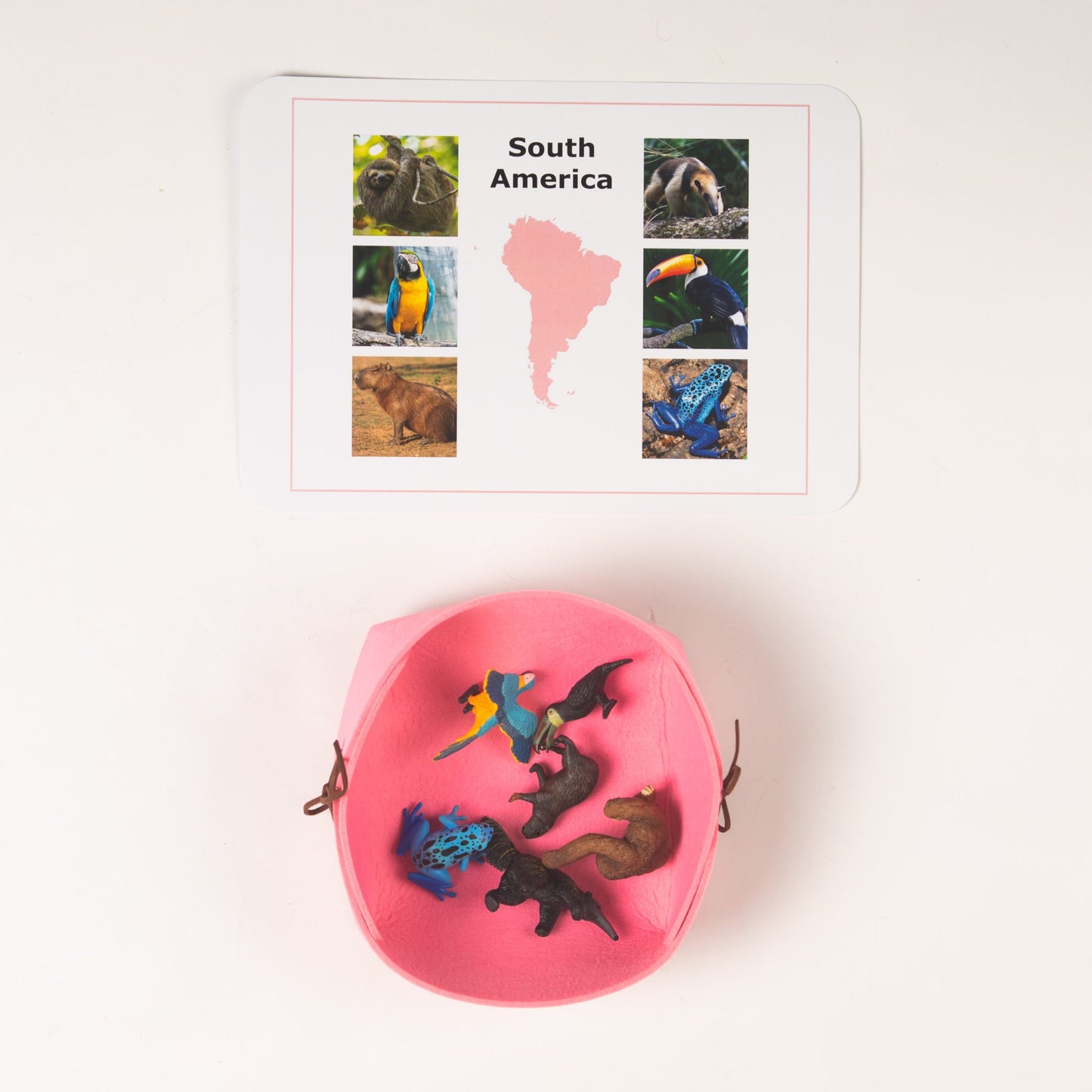Montessori Animals of the Seven Continents - Bundle - Culture and Geography Classification