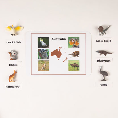 Montessori Animals of the Seven Continents - Bundle - Culture and Geography Classification