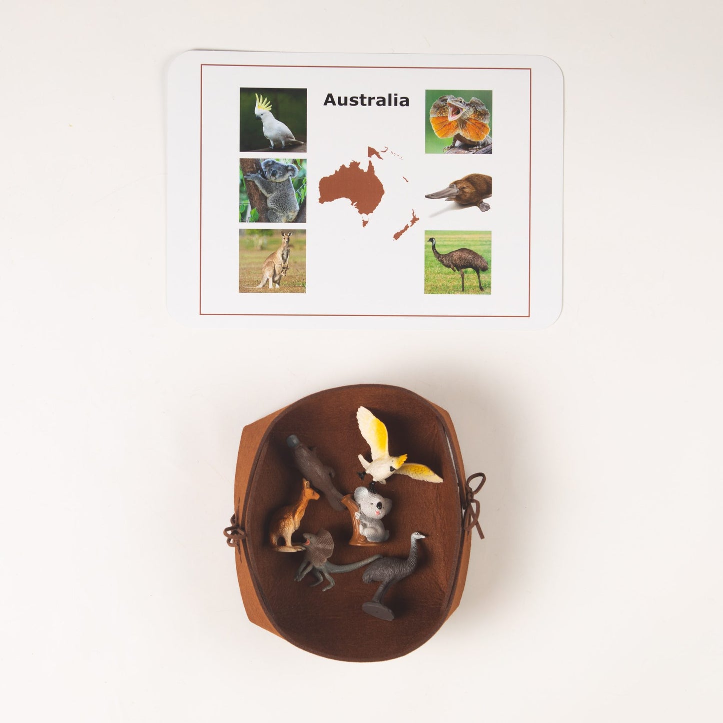 Montessori Animals of the Seven Continents - Bundle - Culture and Geography Classification