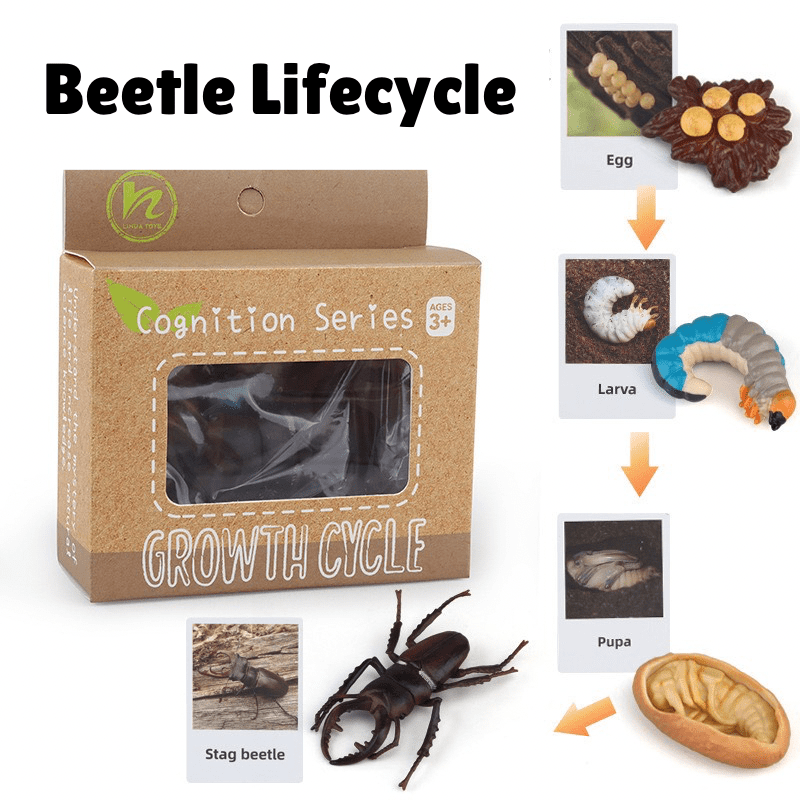 Montessori Life Cycle - Bundle (27 Sets) - Figurines and Matching Cards