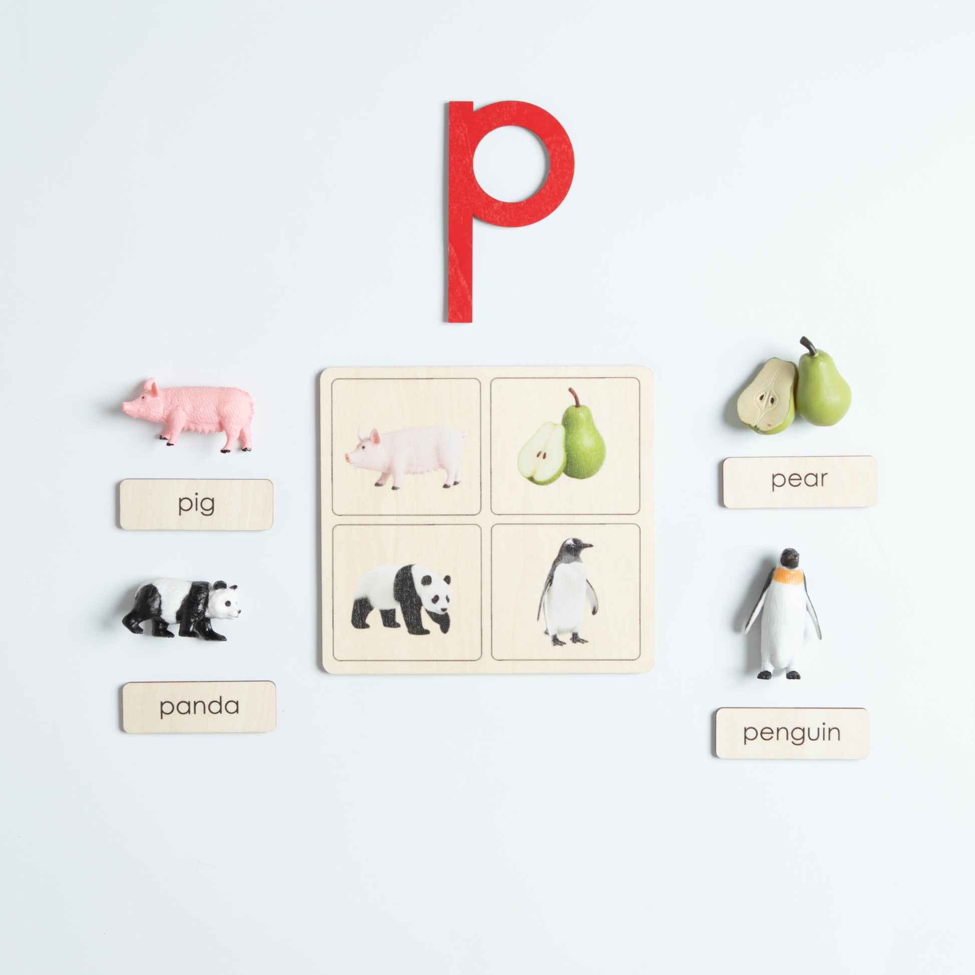Beginning sound objects for letters M to R in Montessori language set