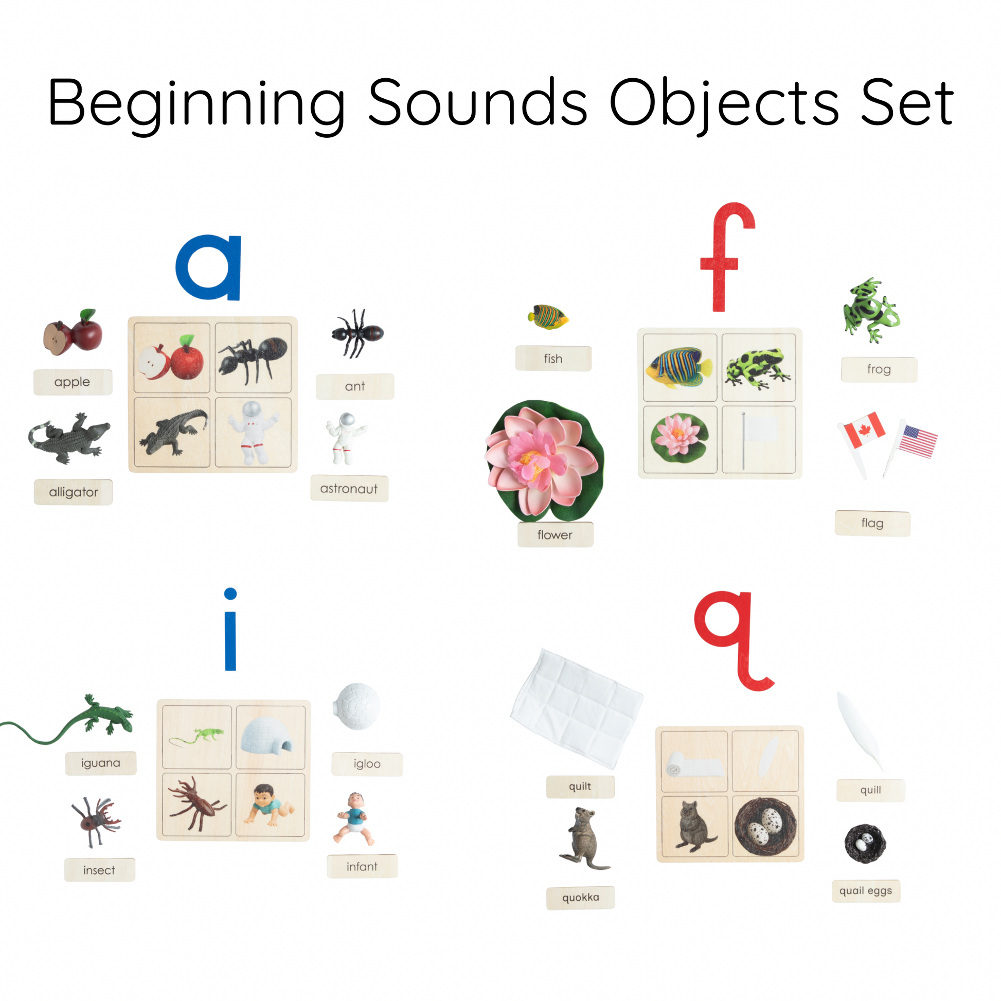 Beginning sounds objects set overview with print letter cards for Montessori learning
