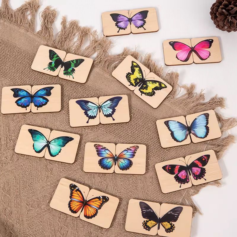Two-piece butterfly matching puzzles for visual symmetry learning  