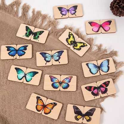 Two-piece butterfly matching puzzles for visual symmetry learning  