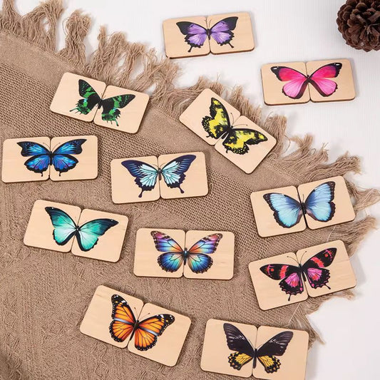 Two-piece butterfly matching puzzles for visual symmetry learning  