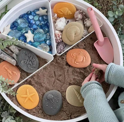Open-Ended Sensory Play Tray - Wet and Dry Tray with Removable Compartments for Creative and Messy Play