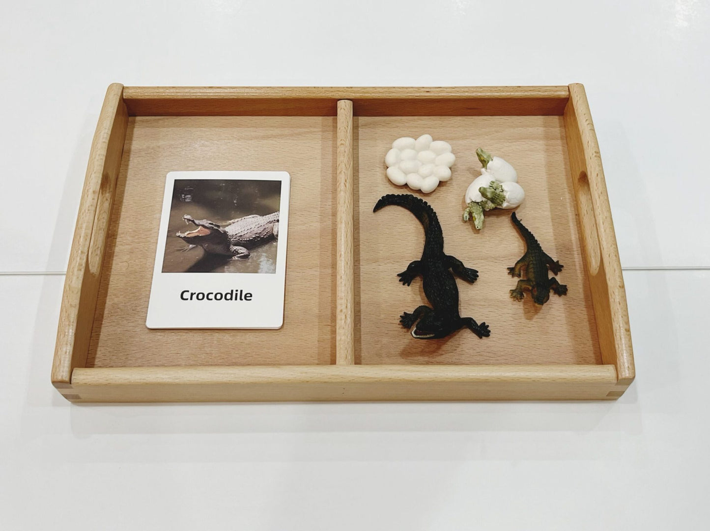 Montessori Life Cycle of a Crocodile - Figurines and Matching Cards