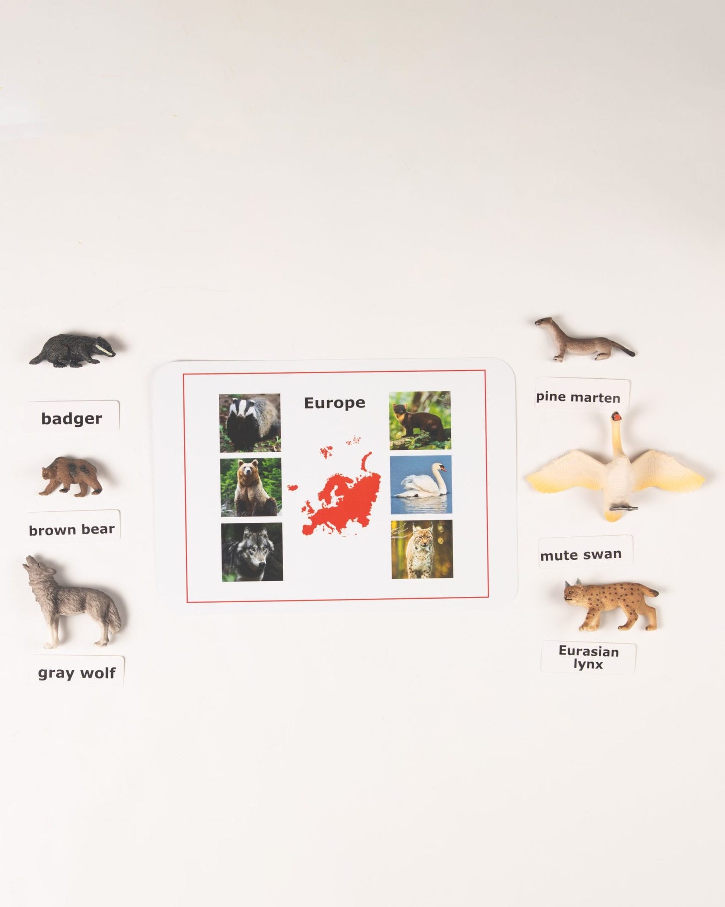 Montessori Animals of the Seven Continents - Bundle - Culture and Geography Classification