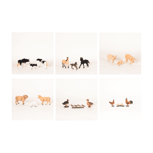 Montessori Farm Animal Families Classification Set - Zoology Animal Sorting Material