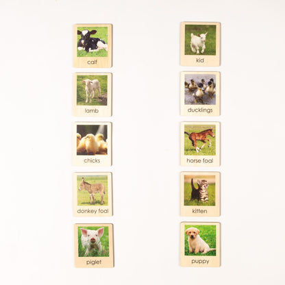 Montessori Baby Farm Animals Classification Set - Zoology Animal Sorting Material