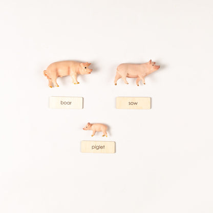Montessori Farm Animal Families Classification Set - Zoology Animal Sorting Material