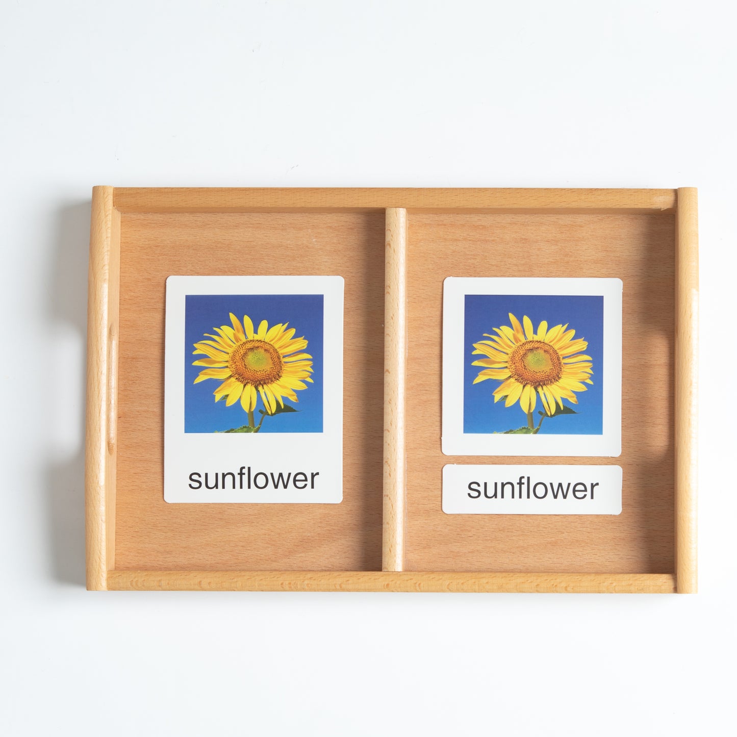 3-part flower nomenclature cards with mini objects for Montessori classified vocabulary activity