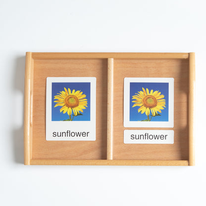 3-part flower nomenclature cards with mini objects for Montessori classified vocabulary activity