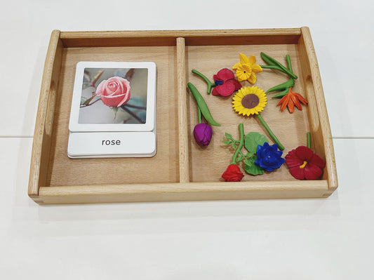 Montessori Classification Set - Flowers - 3-Part Cards (Classified Cards) with Mini Objects