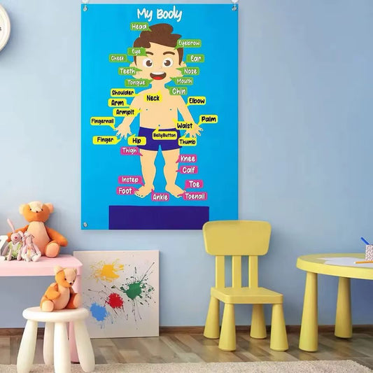 My Body Felt Board – Human Body Learning Activity for Toddlers, Preschoolers and Classrooms