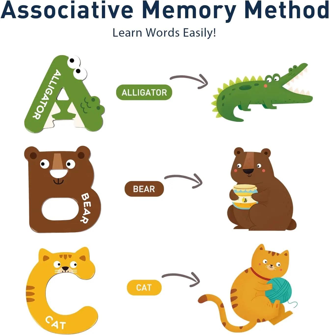 Magnetic Alphabet and Puzzle Set - Uppercase and Lowercase Letters, Animal and Vehicle Matching Puzzles