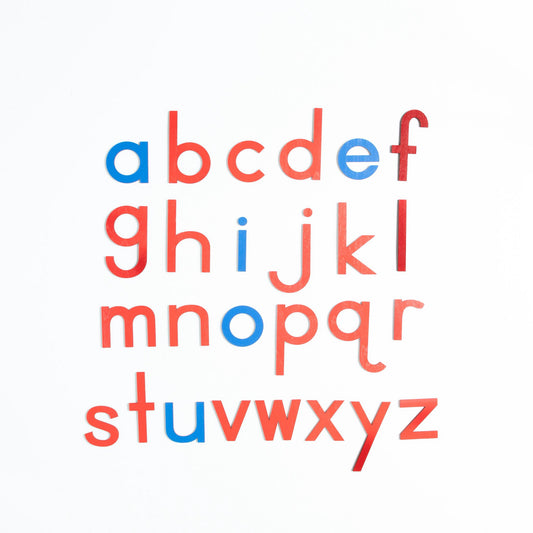 Large movable lowercase alphabet letters Montessori language material for reading and writing