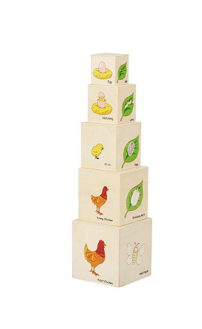 Toddler stacking tower cubes illustrating animal life cycles including chicken, frog, butterfly, and moth