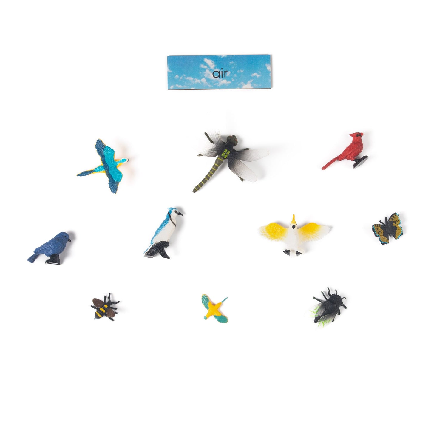 Montessori air animals classification material for preschool zoology learning