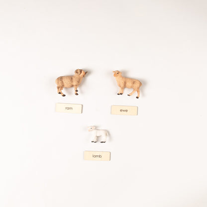 Montessori Farm Animal Families Classification Set - Zoology Animal Sorting Material