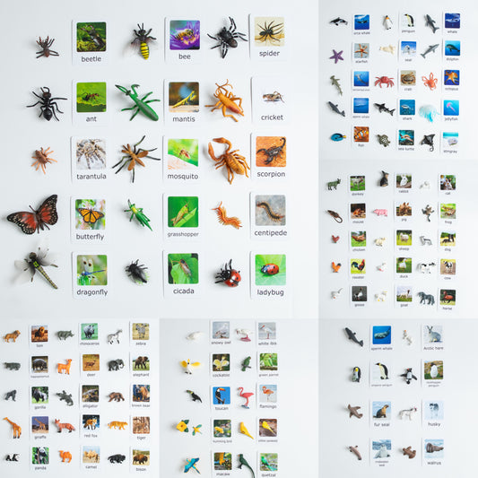 Montessori animal matching bundle with figurines and picture cards for early learning and classification activities