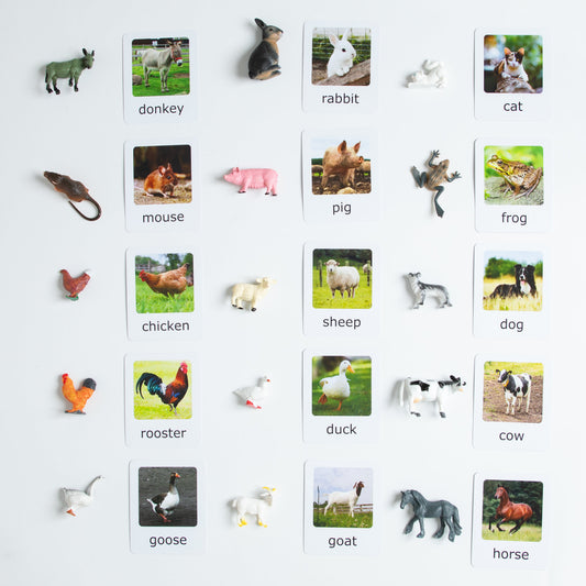 Montessori farm animals matching set with animal figurines and picture cards including cow, goat, sheep, horse, donkey, pig, chicken, duck, goose, dog, and cat