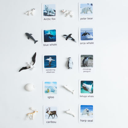 Montessori polar animals matching set with Arctic and Antarctic animal figurines and picture cards for geography and zoology learning