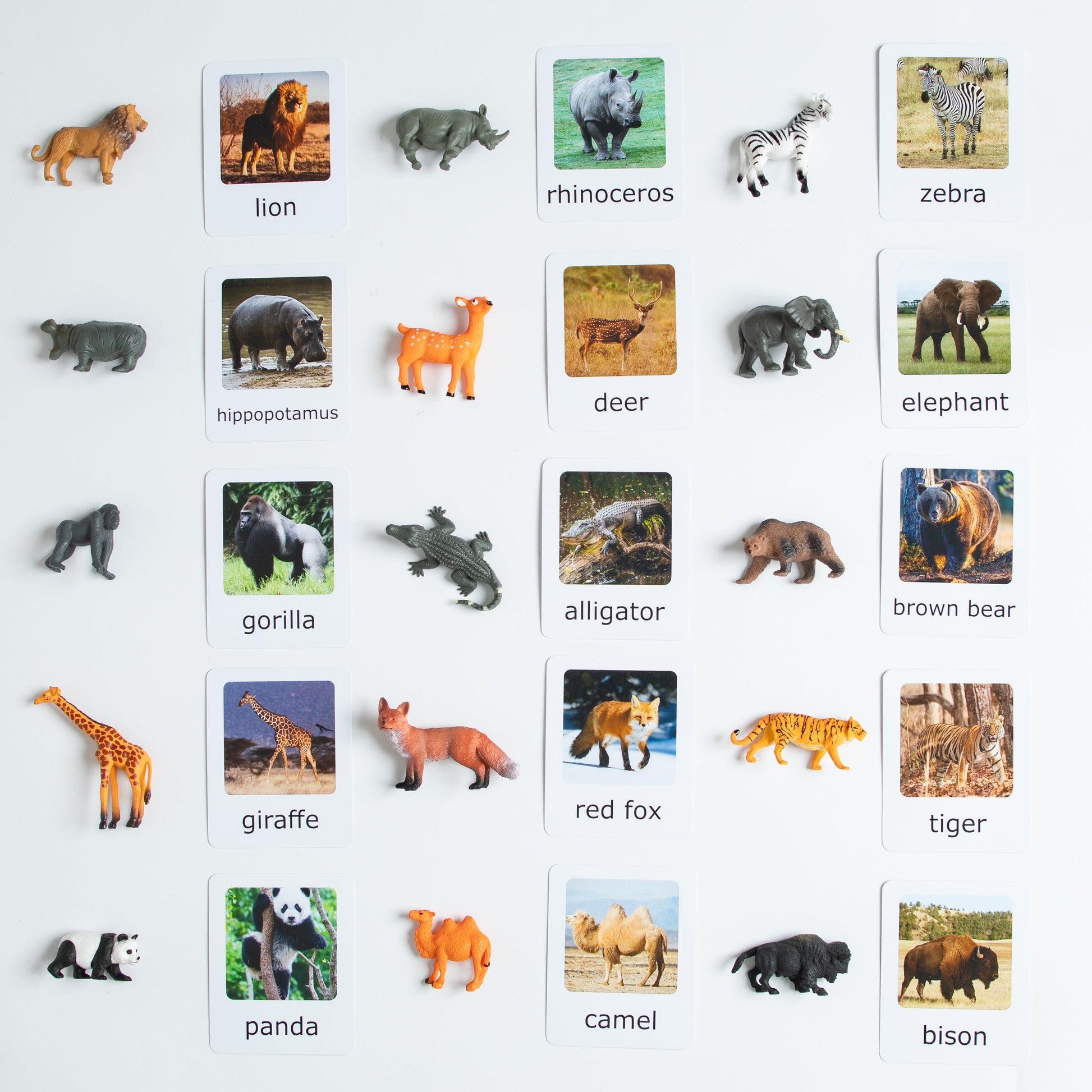 Montessori wild animals matching set with animal figurines and picture cards for early learning and classification