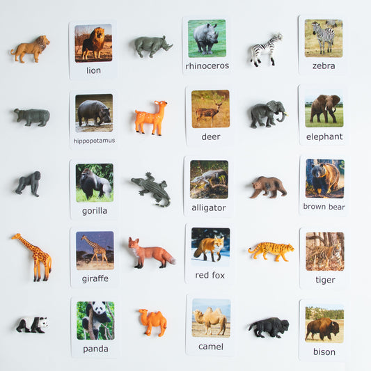 Montessori wild animals matching set with animal figurines and picture cards for early learning and classification