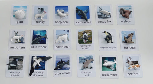 Montessori Animal Matching Set - Polar Animals (Arctic and Antarctic) - Figurines and Cards