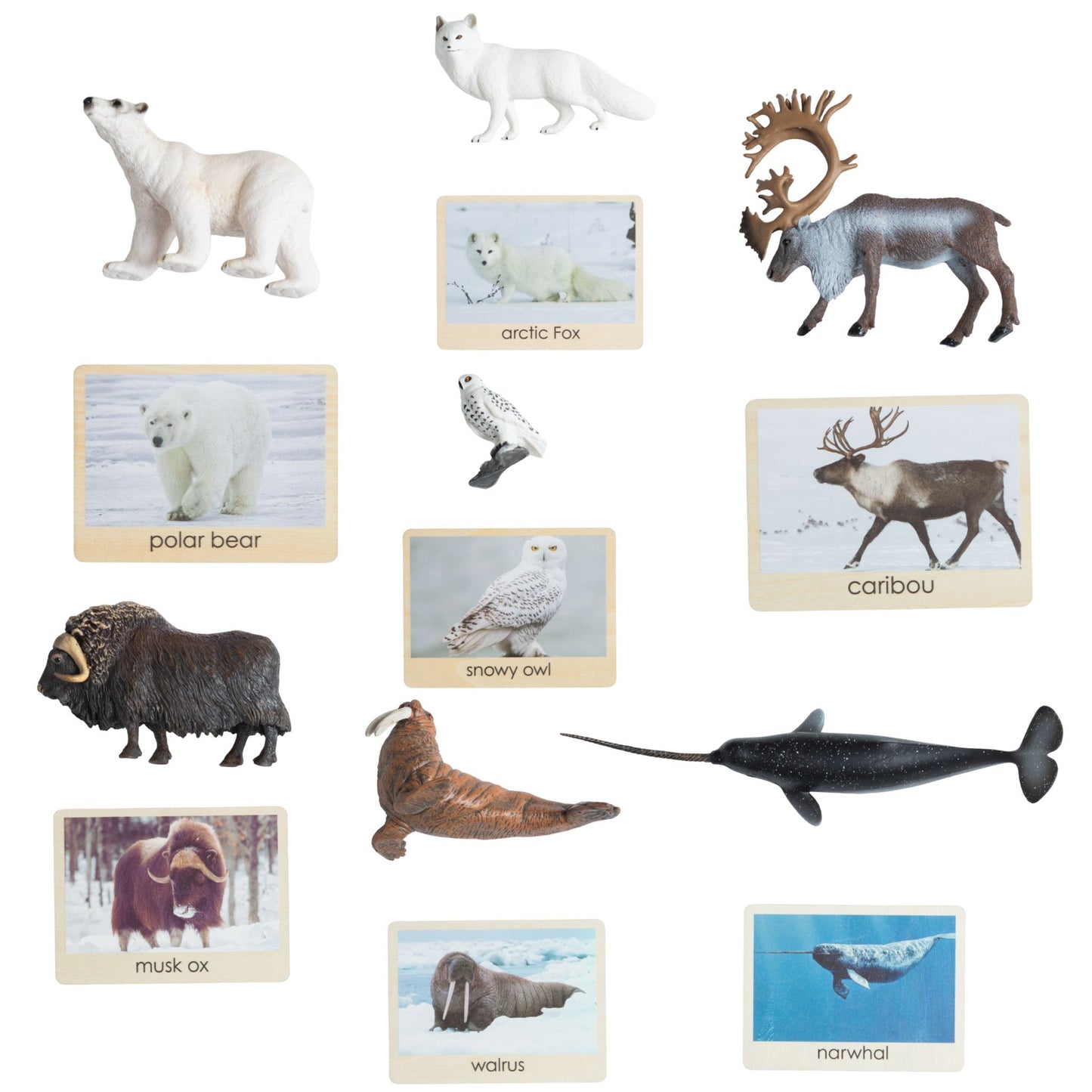 Montessori Arctic animals object to picture matching set with figures and wooden cards