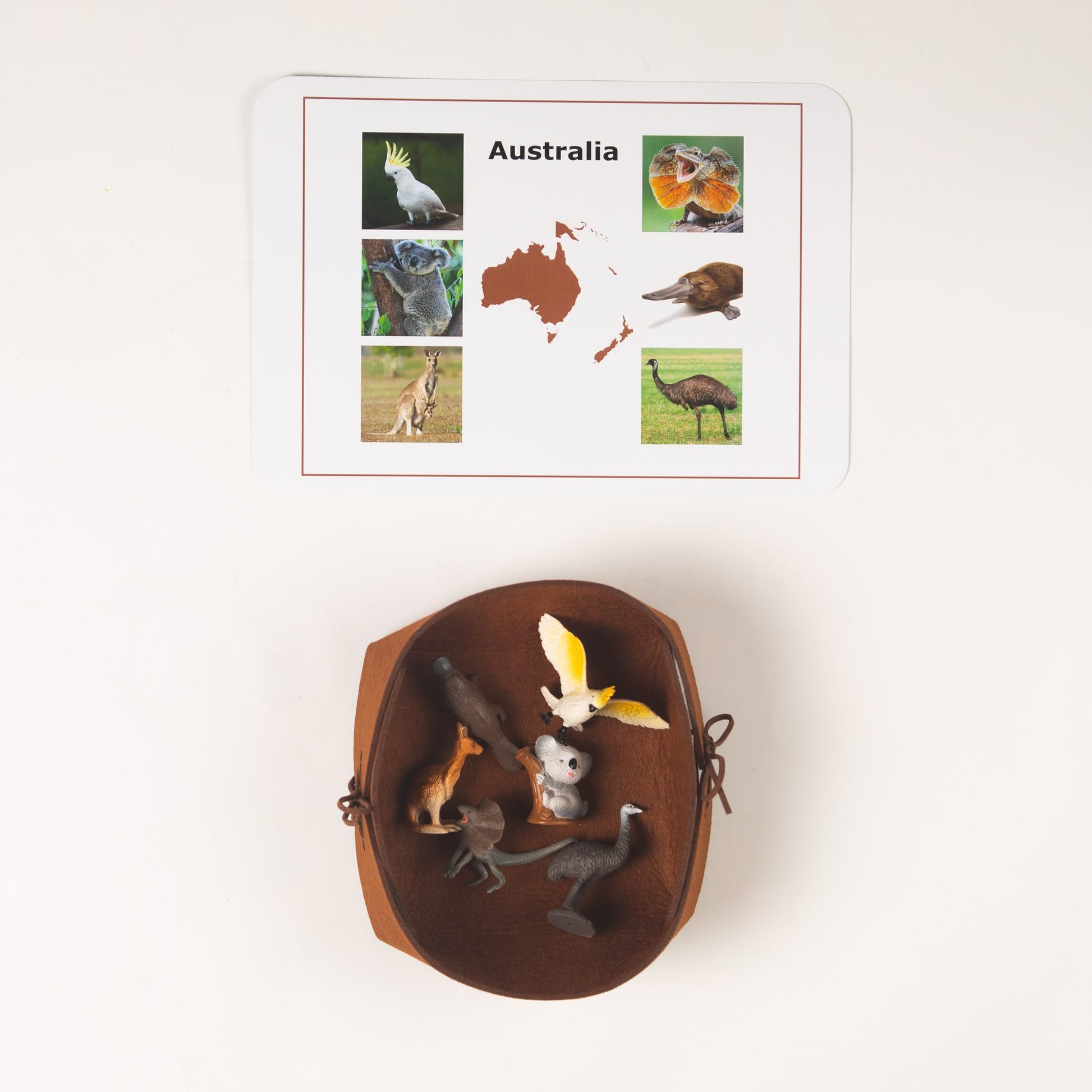 Montessori Australia continent animal classification set with control card and miniature animal figures